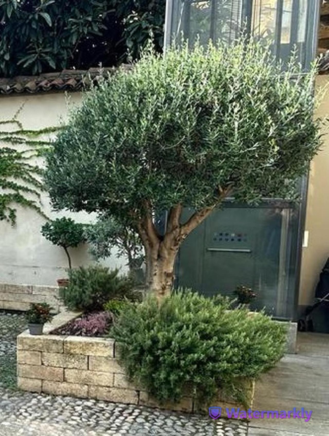 דירות אסטי Le Tre Ca', Ca' Cecilia, Ca' Nina, Ca' Vittoria מראה חיצוני תמונה